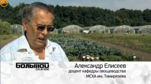 белокрылки для макролофуса настоящий деликатес0 2015 10 27 21 02 33 531