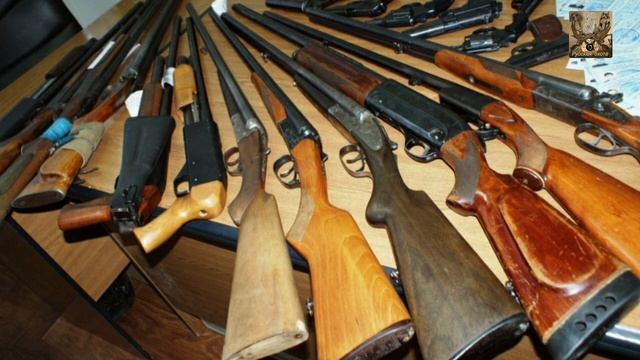 Хранить изъятое оружие будут не больше года смотреть онлайн