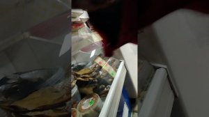 На нас напали Дерзкие девочки