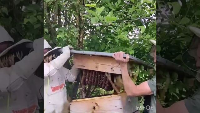 Хочу высадить сад Гармония Жизни, посмотрим , что получится 😊 #творецсвоейреальности #саджизни смотреть онлайн