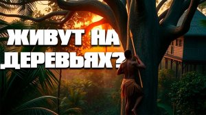 Короваи – люди, живущие на деревьях! Почему они выбрали такую жизнь?