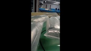 Малек осетра ЛенКа. Заселение