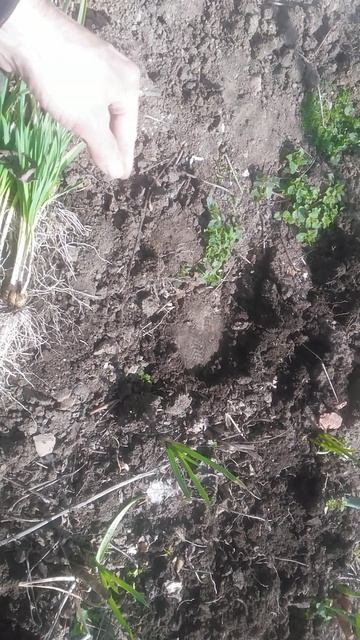 VID_20250323_120501