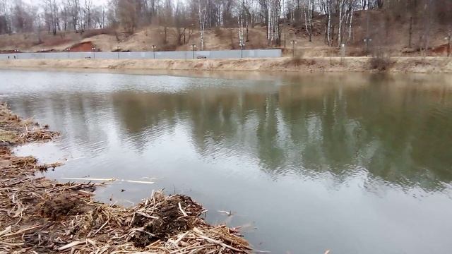 Прогулка с сыном к речке. Большая ракушка.