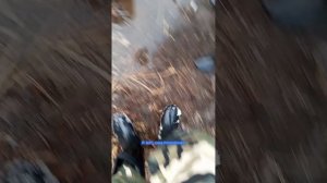 нашли радиацию в зоброшке 2