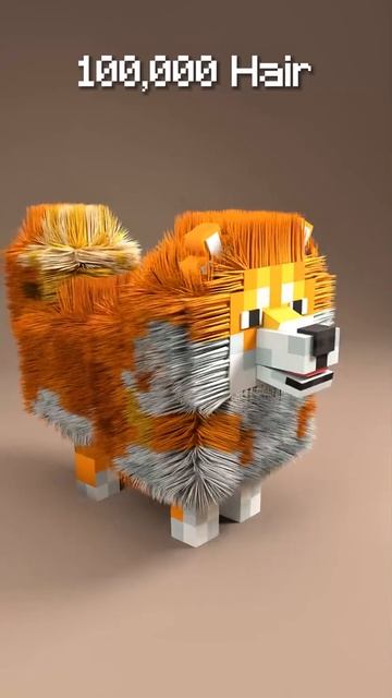 сколько волос?