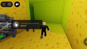 лабиринт крыса