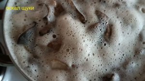 Сколько времени варить грибы   Как правильно варить грибы   Как сварить грибы