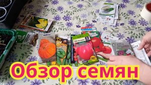 ОБЗОР СЕМЯН НА 2022Г/ПОСАДКА ОГУРЦОВ для теплицы/обзор всходов петунии.