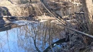 Соблазнение весеннего карася на удочку с боковым кивком.