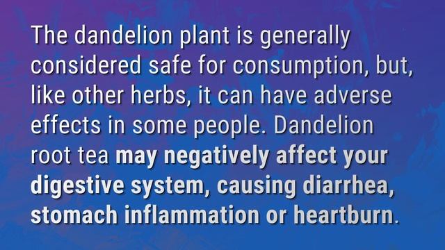 Does dandelion tea have side effects? смотреть онлайн