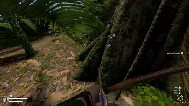 Checkin Out C-1. - Green Hell