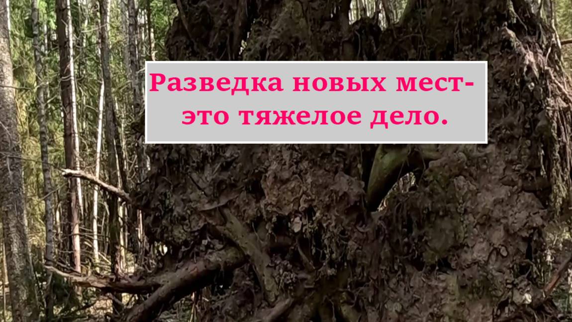 Ищем места для поиска удельных находок.