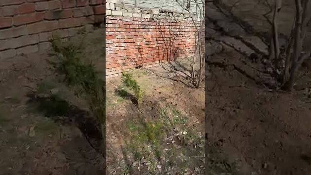 Детство