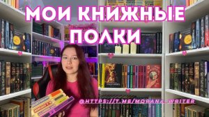Книжные полки. Домашняя библиотека