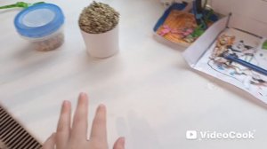 убираемся  🧹