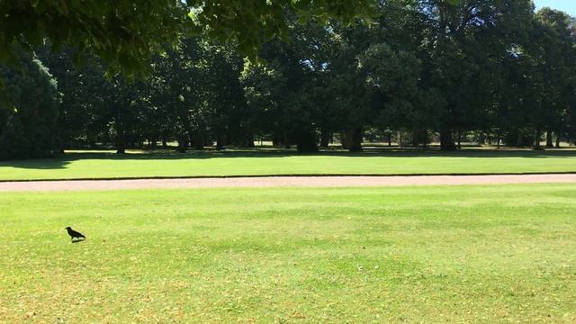 Идеальный газон в Замке Шеверни Франция смотреть онлайн