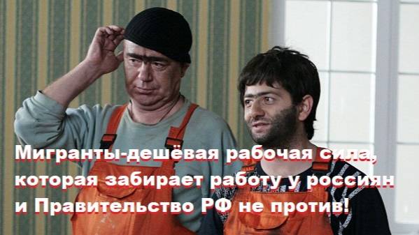 Мигранты-дешёвая рабочая сила, которая забирает работу у россиян и Правительство РФ не против!