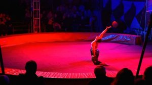 Цирк шапито"Империя Хищников"г.Красногорск.Цирковое представление с акробатическими трюками-15.03.25