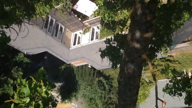 picturez 009 смотреть онлайн