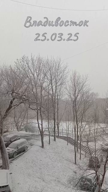 Мартовский снег