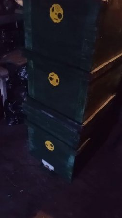 готов 10