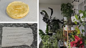 25.03.2025г Дождь, ливень/ Комнатные растения/ Обрезка комнатного растения/ Вязание/ Жарю блины