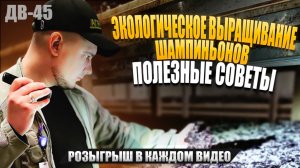 НЕВОЗМОЖНОЕ ВОЗМОЖНО | БИЗНЕС В СВОЕМ ДОМЕ | ДВ45