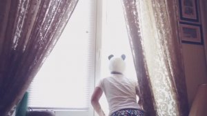 Если бы люди вели себя как собаки... 🐾😄