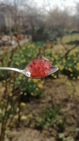 Анапа. На даче нашла кристалы💎