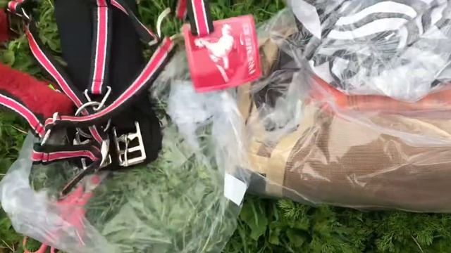 Распаковка конной посылки с сайта Ratsavarustus24 #13 смотреть онлайн
