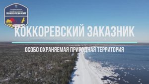 Заказник Коккоревский. Особо Охраняемая Природная Территория. Заповедный репортаж "Эко Дозор".