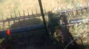 Свал гороха Макдон 150