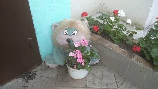 лев охраняет подъезд смотреть онлайн