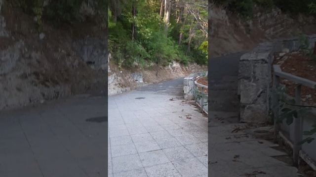 Дорога к Даче Сталина Холодная речка