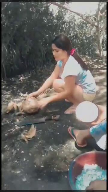 kodkod ug taman 😅 смотреть онлайн