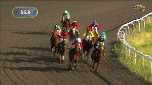 4-я Скачка. Приз «Арабский скакун» (Насима) (1гр). КАЗАНСКИЙ ИППОДРОМ 21 ИЮНЯ 2024