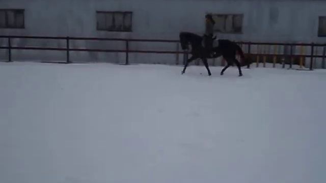 Рубикон рысь 2 смотреть онлайн