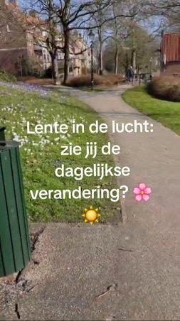 Весна в воздухе:замечаете ли Вы ежедневные изменения? #lente #bloemen #lucht  #посетитьнидерланды