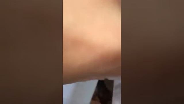 Tarantula plus rats! Your worst nightmare simulator! смотреть онлайн