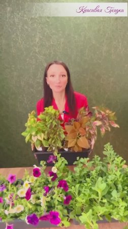 Большой стеллаж для рассады.🍀