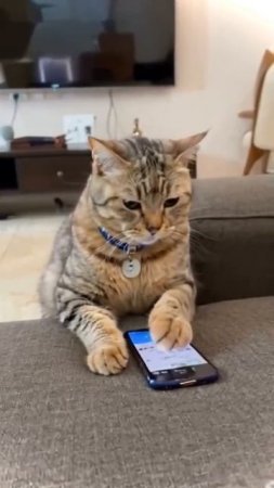 😅Переходи в мой Telegram-канал https://t.me/AlexVos1, забирай бонус в шапке профиля😉