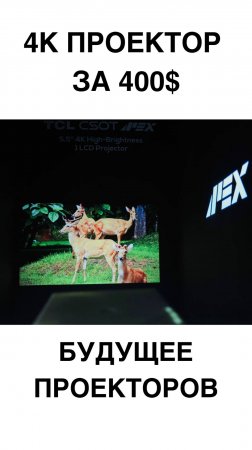 TCL ДЕЛАЕТ ПРОЕКТОРЫ? Нативный 4K за $400 — революция на рынке?
#TCL #4KПроектор #Технологии #LCD #C