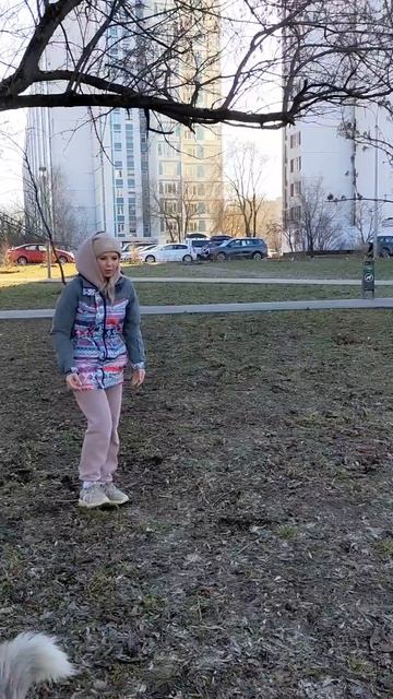 БК Рокси - дог-кетч