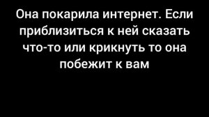 кто какая сербская леди разоблачение