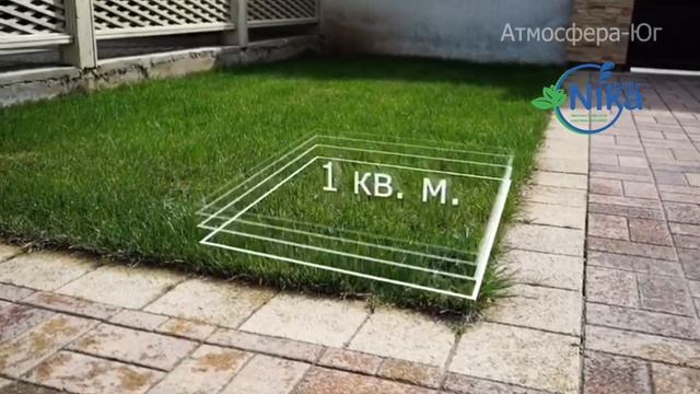 NIKApoliv системы автоматического полива смотреть онлайн