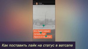 Как поставить лайк на статус в ватсапе