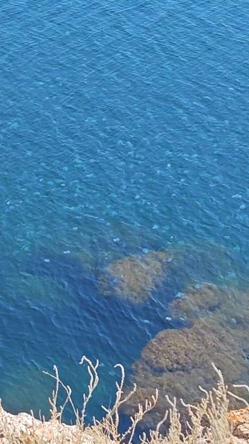 нашествие медуз смотреть онлайн