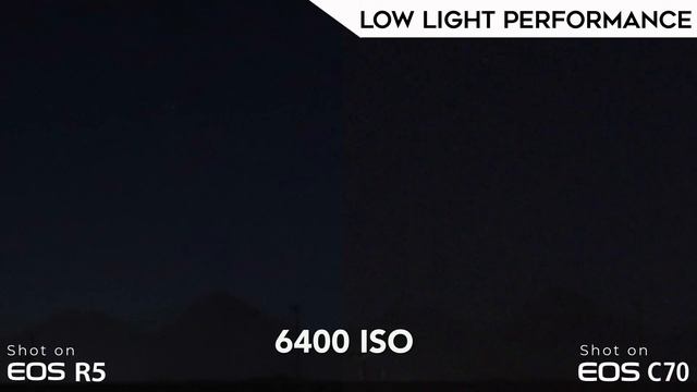 Canon R5 vs. Canon C70 - In-Depth Video Shootout!