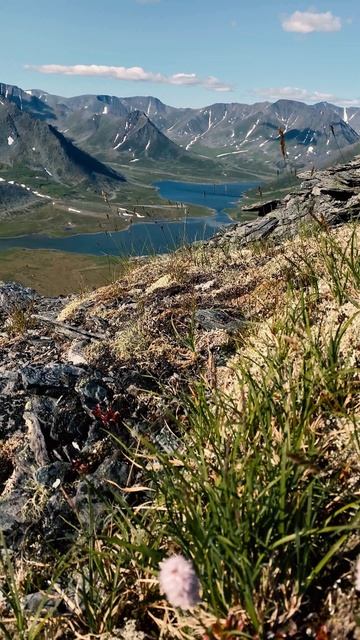 Мы не одни смотреть онлайн